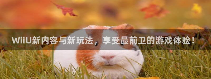极悦娱乐平台负责人：WiiU新内容与新玩法，享受最前卫的游戏