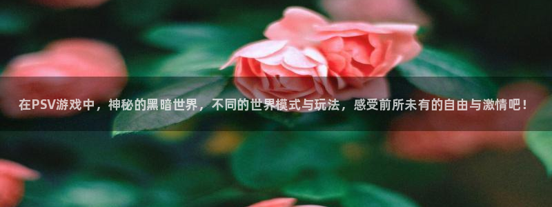 极悦娱乐的意思：在PSV游戏中，神秘的黑暗世界，不同的世界模