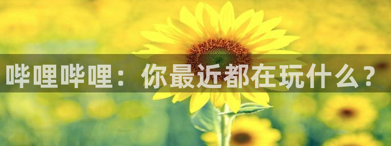 极悦娱乐平台登陆：哔哩哔哩：你最近都在玩什么？