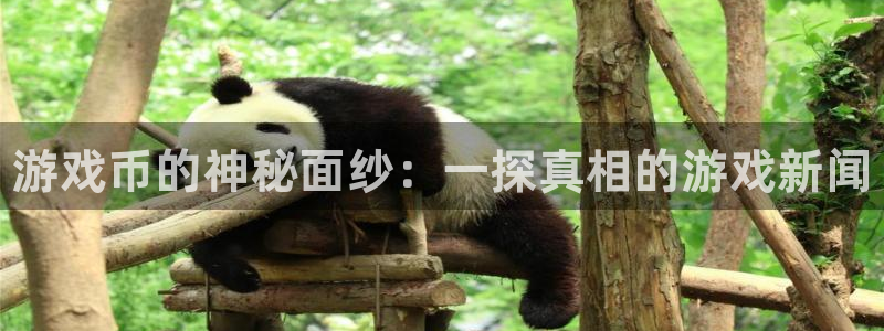 极悦娱乐注册开户：游戏币的神秘面纱：一探真相的游戏新闻