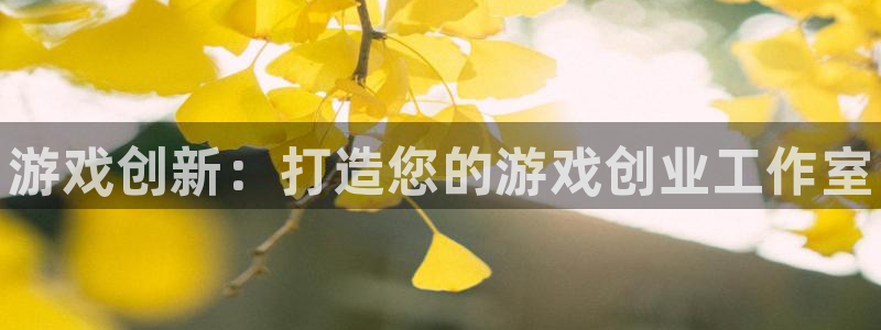 极悦娱乐app：游戏创新：打造您的游戏创业工作室