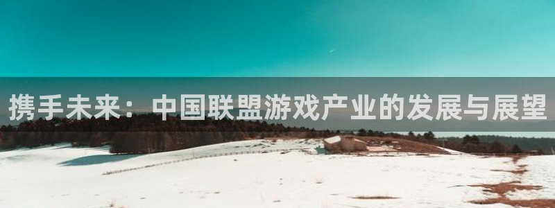 极悦娱乐注册登录平台：携手未来：中国联盟游戏产业的发展与展望