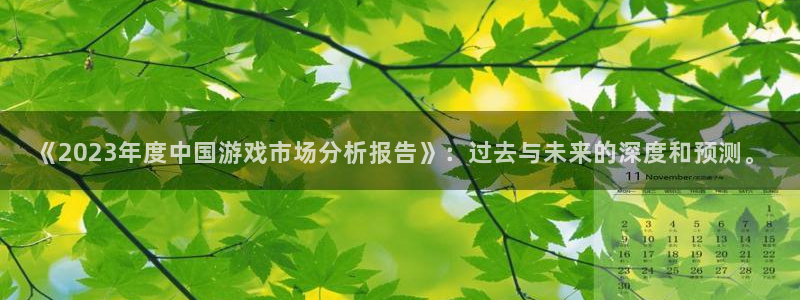 极悦娱乐app下载|下载地址：《2023年度中国游戏市场分析