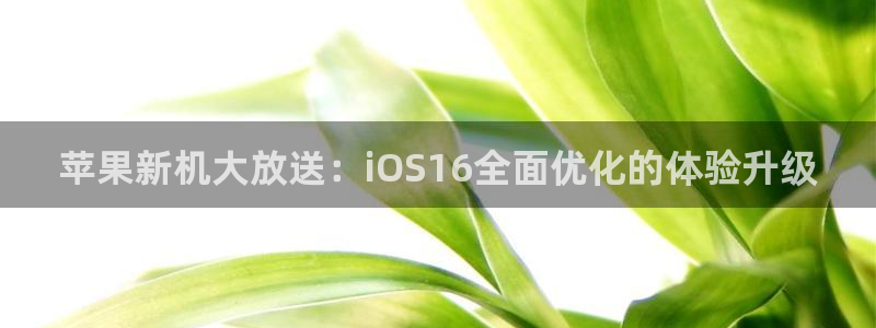 极悦娱乐平台注册开户：苹果新机大放送：iOS16全面优化的体