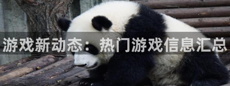 极悦娱乐注册登录平台：游戏新动态：热门游戏信息汇总