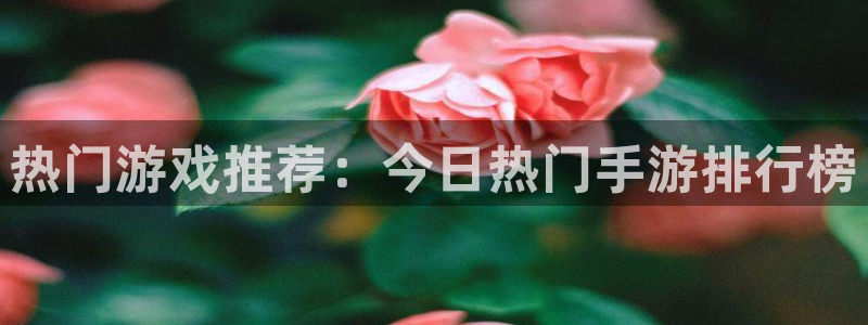 极悦娱乐4招商:热门游戏推荐:今日热门手游排行榜