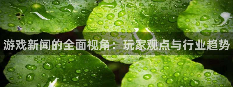 极悦娱乐测速：游戏新闻的全面视角：玩家观点与行业趋势