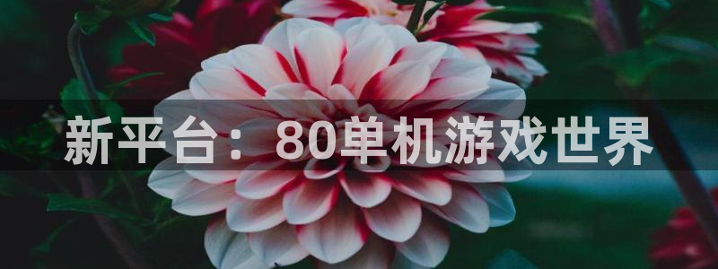极悦娱乐在线登录：新平台：80单机游戏世界