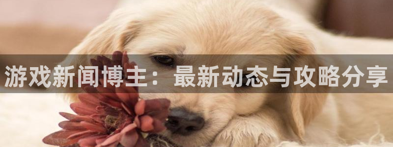 极悦娱乐线路测试：游戏新闻博主：最新动态与攻略分享