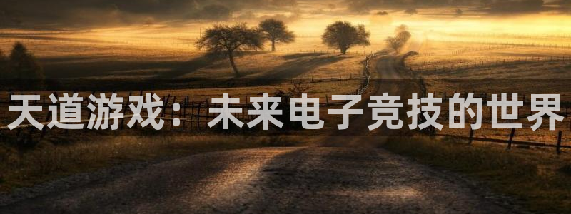 极悦娱乐官方注册登录：天道游戏：未来电子竞技的世界