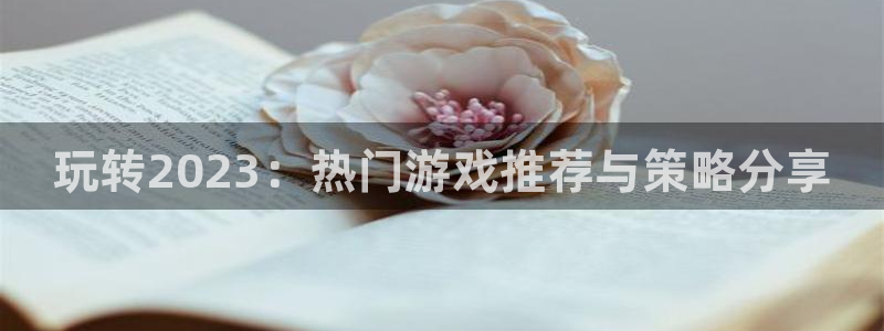 极悦娱乐登陆：玩转2023：热门游戏推荐与策略分享