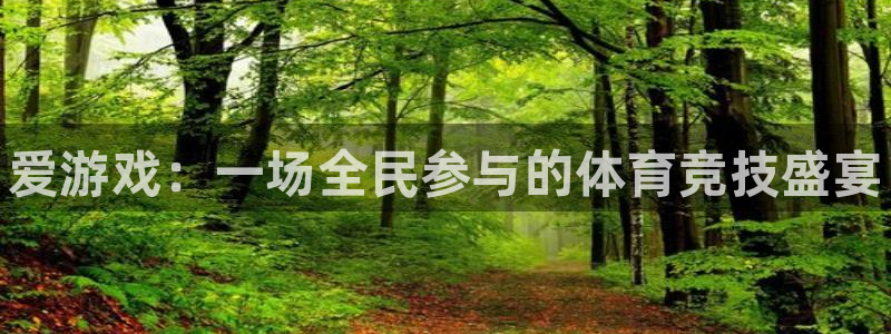 极悦娱乐平台登录：爱游戏：一场全民参与的体育竞技盛宴
