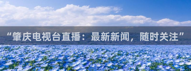 蜘蛛直播nba免费：“肇庆电视台直播：最新新闻，随时关注”
